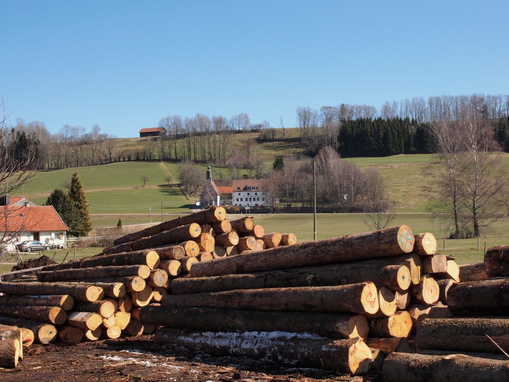 Stammholzlager mit Blick auf die Waldmühle