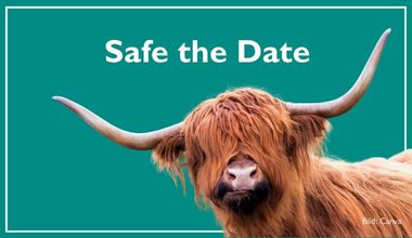 platzhalter DV oktober